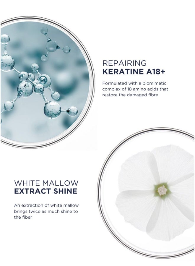 Phyto شامبو فيتو ريبير لإعادة الهيكلة 250 مل - Image 4